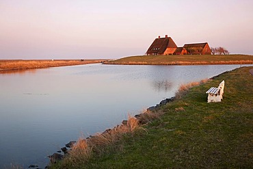 The Kirchwarft dwelling mound with the church and the pastorate in the evening light, Hallig Hooge Island, North Sea, Schleswig-Holstein's Wadden Sea National Park, UNESCO World Heritage Site, Northern Friesland, Northern Germany, Europe