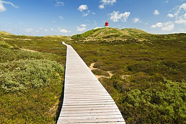 Boardwalk and dunes, Amrum, North Frisia, Schleswig-Holstein, Germany, Europe