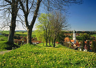 Nesselwang, Allgaeu, Bavarian Swabia, Bavaria, Germany, Europe