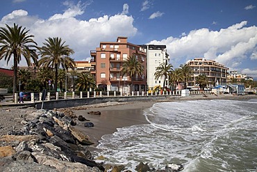 Palm trees and hotels on the coast, Albenga, Riviera, Liguria, Italy, Europe