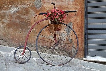 Historic bicycle with a flower pot, Savona, Riviera, Liguria, Italy, Europe