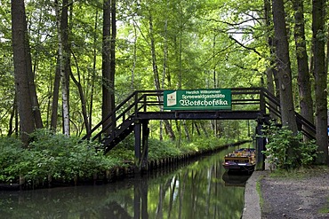 Landscape with a kahn, a small boat, on the river, Spreewald Biosphere Reserve, Luebbenau, Spreewald, Brandenburg, Germany, Europe