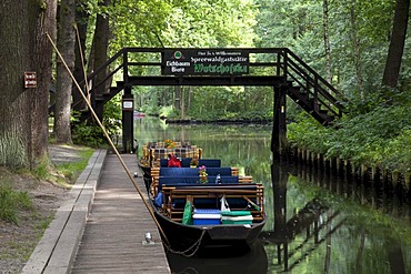 Landscape with a kahn, a small boat, on the river, Spreewald Biosphere Reserve, Luebbenau, Spreewald, Brandenburg, Germany, Europe