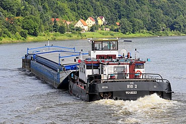 Cargo ship RIO 2 on the Elbe River near Kurort Rathen, Dresden, Saxony, Germany, Europe