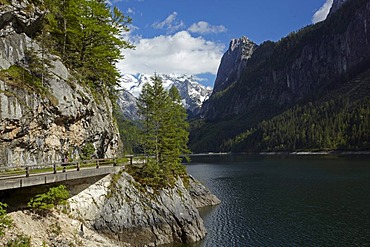 Vorderer Gosausee lake with Dachstein mountain, Salzkammergut, Upper Austria, Europe