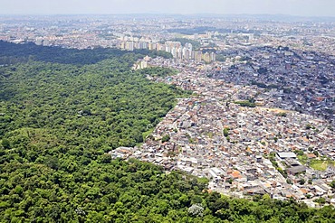 Aerial view of a Favela, slum area on the outskirts of Sao Paulo, town invading the rain forest, Sao Paulo, Brazil, South America