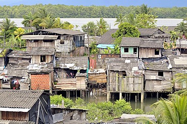 Poor dwellings, stilt houses, mangrove area in the estuary of the Rio Anchicaya river in the Pacific, Bajamar slum, Buenaventura, Valle del Cauca, Colombia, South America