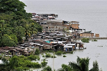 Traditional district, slum with stilt houses on the mangrove banks of the Pacific coast at high tide, Buenaventura, Valle del Cauca, Colombia, South America