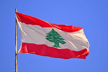 Lebanese national flag with the Cedar of Lebanon, Beirut, Lebanon, Middle East, Asia