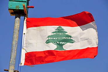 Lebanese national flag with a cedar of Lebanon, Beirut, Lebanon, Middle East, Orient