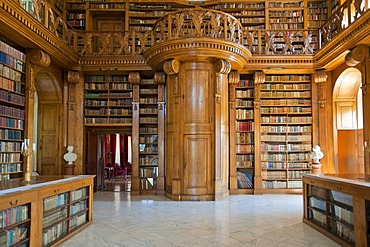 Helikon Library, interior, Baroque castle, Festetics kasteely, Keszthely, Hungary, Europe