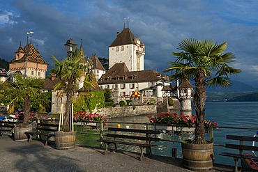 Oberhofen Castle on Lake Thun, canton of Bern, Switzerland, Europe