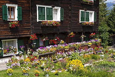 Cottage garden in front of a Valais Renaissance house, Geschinen, canton of Valais, Switzerland, Europe