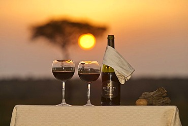 Red wine arrangement, sundowner, Africa