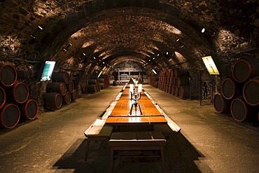 Rakoczi pince, Rakoczi wine cellar, UNESCO World Heritage site, Tokaj region, Hungary, Europe