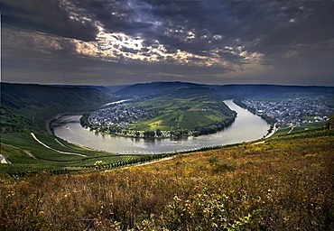 Bend of the river Moselle at Kroev, Rhineland-Palatinate, Germany, Europe