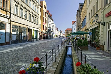 Coswiner Strasse Street, Lutherstadt Wittenberg, Saxony-Anhalt, Germany, Europe