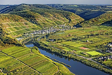 Moselschleife, Moselle loop, Bremm, Rhineland-Palatinate, Germany, Europe