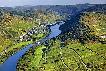 Moselschleife, Moselle loop, Bremm, Rhineland-Palatinate, Germany, Europe