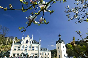 Schloss Sayn Palace in Bendorf, Neuwied, Sayn-Wittgenstein, Middle Rhine, Mayen-Koblenz district, Rhineland-Palatinate, Germany, Europe