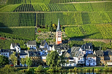 Romantic wine village of Zell on the Moselle River, Rhineland-Palatinate, Germany, Europe