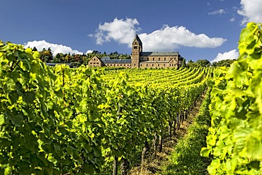 The monastery of St. Hildegard with vineyards in Ruedesheim, founded by Hildegard von Bingen, Rheinland Pfalz, Germany, Europe