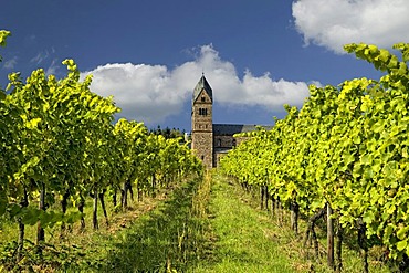 The monastery of St. Hildegard with vineyards in Ruedesheim, founded by Hildegard von Bingen, Rheinland Pfalz, Germany, Europe