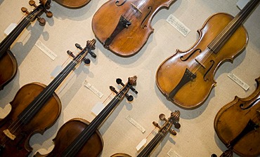 Violins, Haus Kemnade castle and museum, Hattingen, North Rhine-Westphalia, Germany, Europe