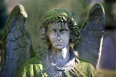 Weathered angel statue on a grave, Melaten-Friedhof cemetery, Cologne, North Rhine-Westphalia, Germany, Europe