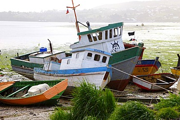 Fishing boats in the fishing port, Castro, Chiloe Island, Southern Chile, Chile, South America