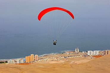 Paraglider, Iquique, Atacama desert, Region de Tarapaca, Chile, South America