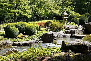 Botanical Gardens, Japanese Garden, Augsburg, Schwaben, Bavaria, Germany, Europe