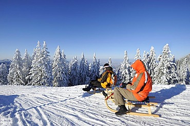 Sledders on Mt. Wallenberg, Bavarian Alps, Upper Bavaria, Bavaria, Germany, Europe