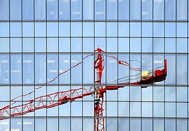 Red crane reflected in a high-rise building