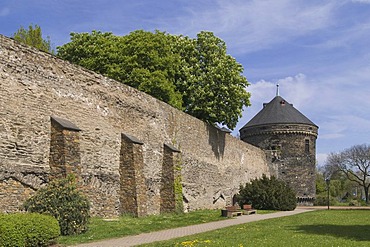 City wall with Pulverturm gun powder tower, Andernach, Rhineland-Palatinate, Germany, Europe