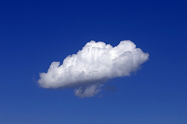 Cumulus cloud against a blue sky