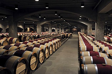 French oak barrels in the aging cellar of the Robert Mondavi Winery, Napa Valley, California, USA