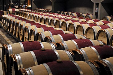 French oak barrels in the aging cellar of the Robert Mondavi Winery, Napa Valley, California, USA