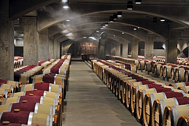 French oak barrels in the aging cellar of the Robert Mondavi Winery, Napa Valley, California, USA