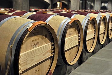 French oak barrels in the aging cellar of the Robert Mondavi Winery, Napa Valley, California, USA