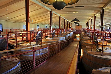 Oak fermentation barrels of Robert Mondavi Winery, Napa Valley, California, USA