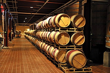 French oak barrels in the aging cellar of the Robert Mondavi Winery, Napa Valley, California, USA