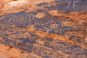 Rock carvings or petroglyphs of Native Americans, from around 1100, Valley of Fire State Park, Nevada, USA, North America