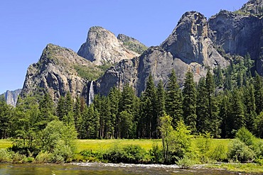 Typical landscape with the Merced River in Yosemite National Park, California, USA, North America