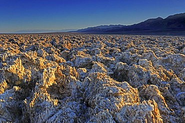 Morning light at the Devil's Golf Course, Death Valley National Park, California, USA, America