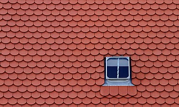 Roof window