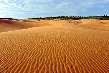 The Red Sand Dunes near Mui Ne, South Vietnam, Southeast Asia