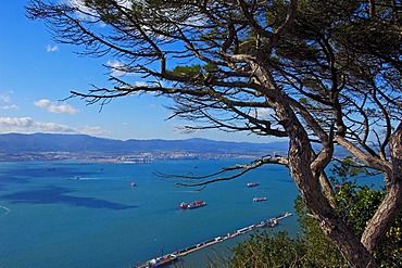 Gibraltar town with bay of Algeciras, Spain, at back, Gibraltar, British overseas territory, Iberian Peninsula, Europe