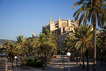 Parc de la Mar and La Seu Cathedral, Palma de Mallorca, Majorca, Balearic Islands, Spain, Europe