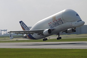 Aeroplane Airbus Beluga taking off, Hamburg, Germany, Europe